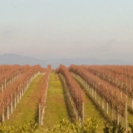 Apartment Schumann Essingen (Rhineland-Palatinate)