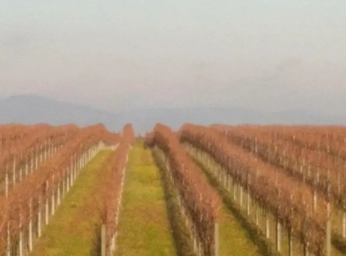 Apartment Schumann Essingen (Rhineland-Palatinate)