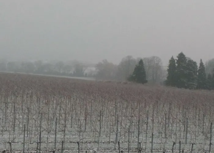 Apartment Schumann Essingen (Rhineland-Palatinate)